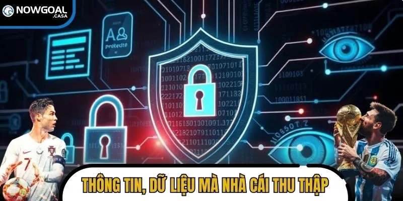 Khái quát những thông tin, dữ liệu mà nhà cái thu thập